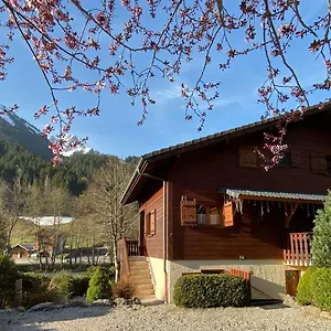 La Joly - Yap Appartement Abondance